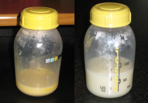 A esquerda o colostro e a direita o leite materno comum.